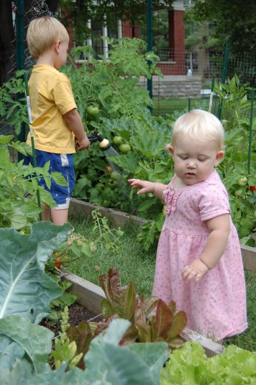 kids working the garden